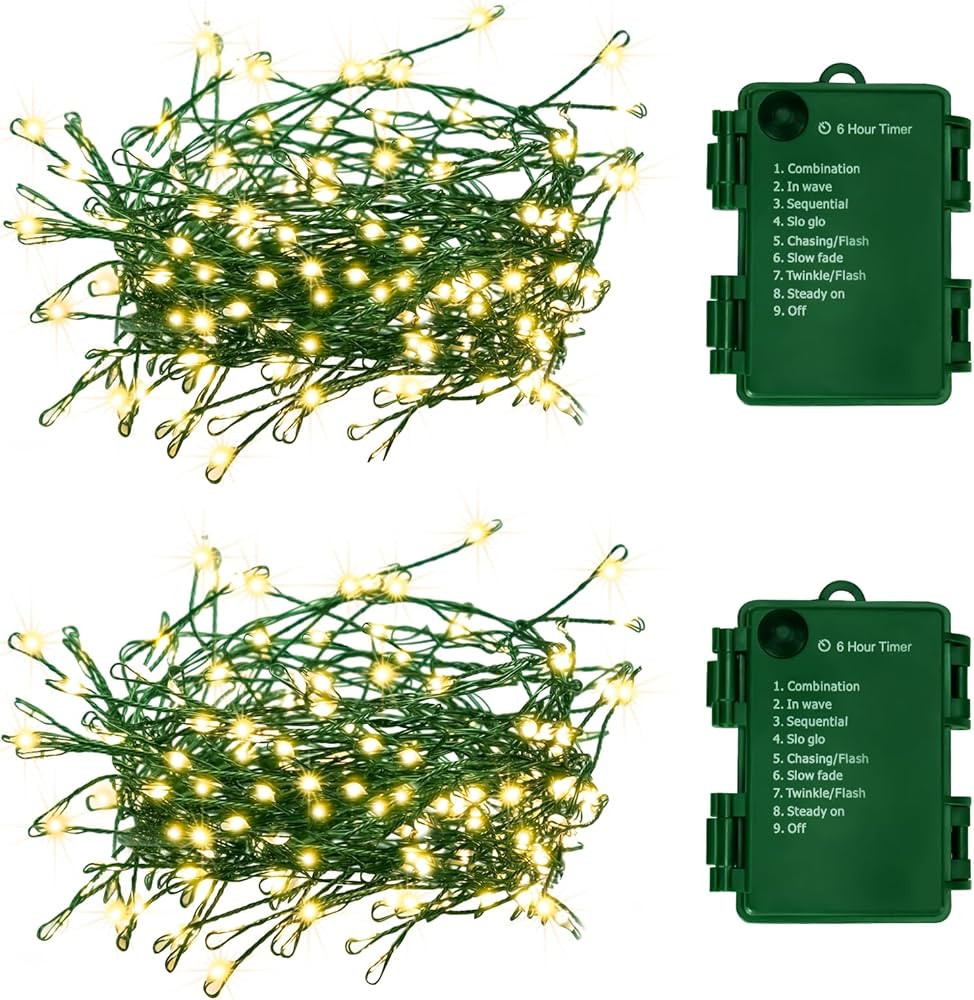 2Pack Outdoor Fairy Lights Battery Operated,10Feet 100LED Green Copper Wire Cluster Lights with 8... | Amazon (US)