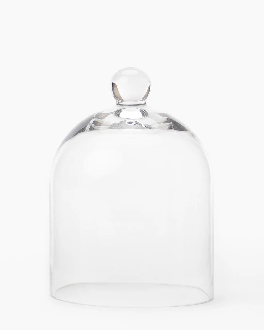 Glass Cloche | McGee & Co.