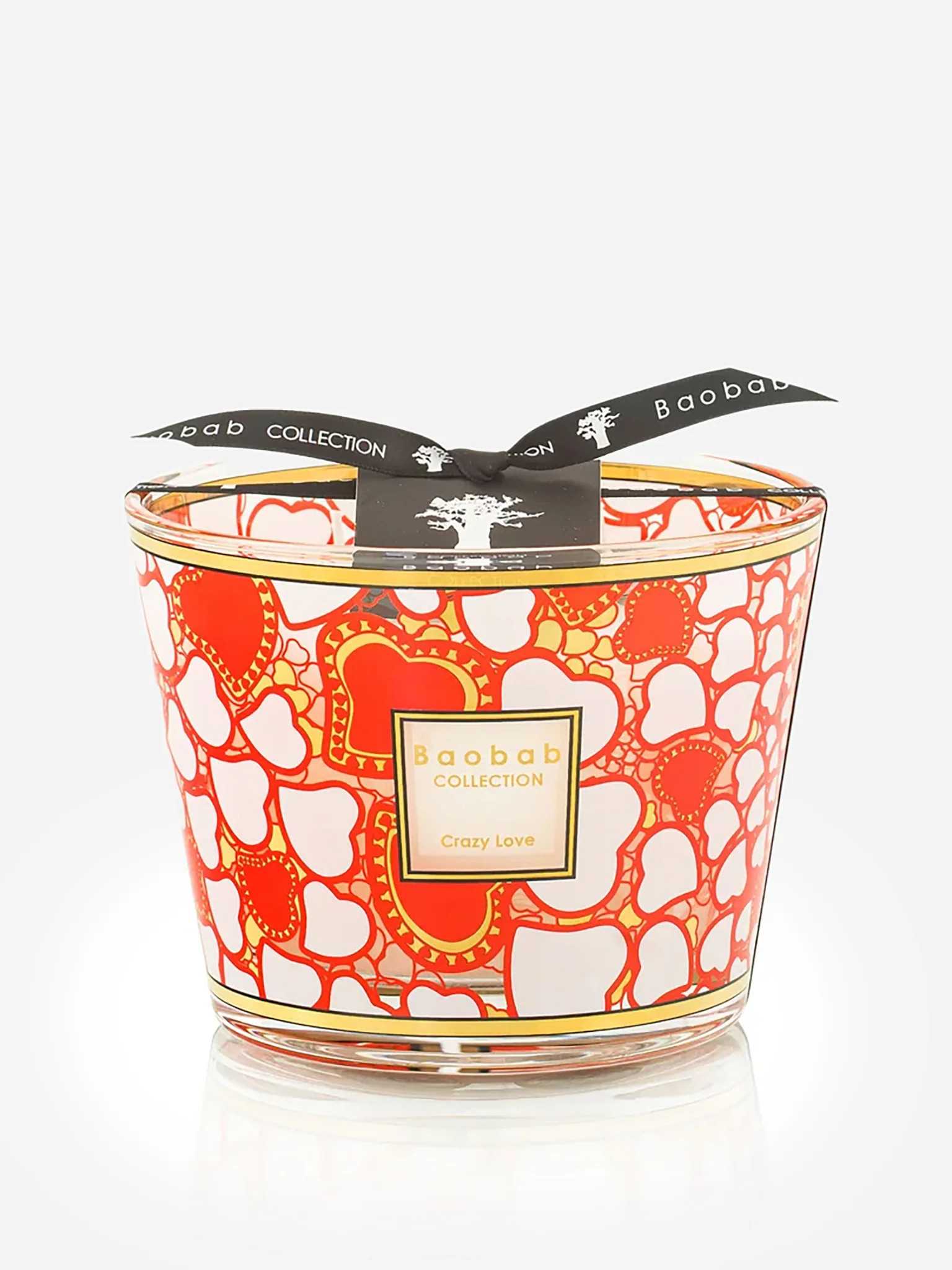 BAOBAB COLLECTION
                      
                     Max 10 Candle | Saint Bernard