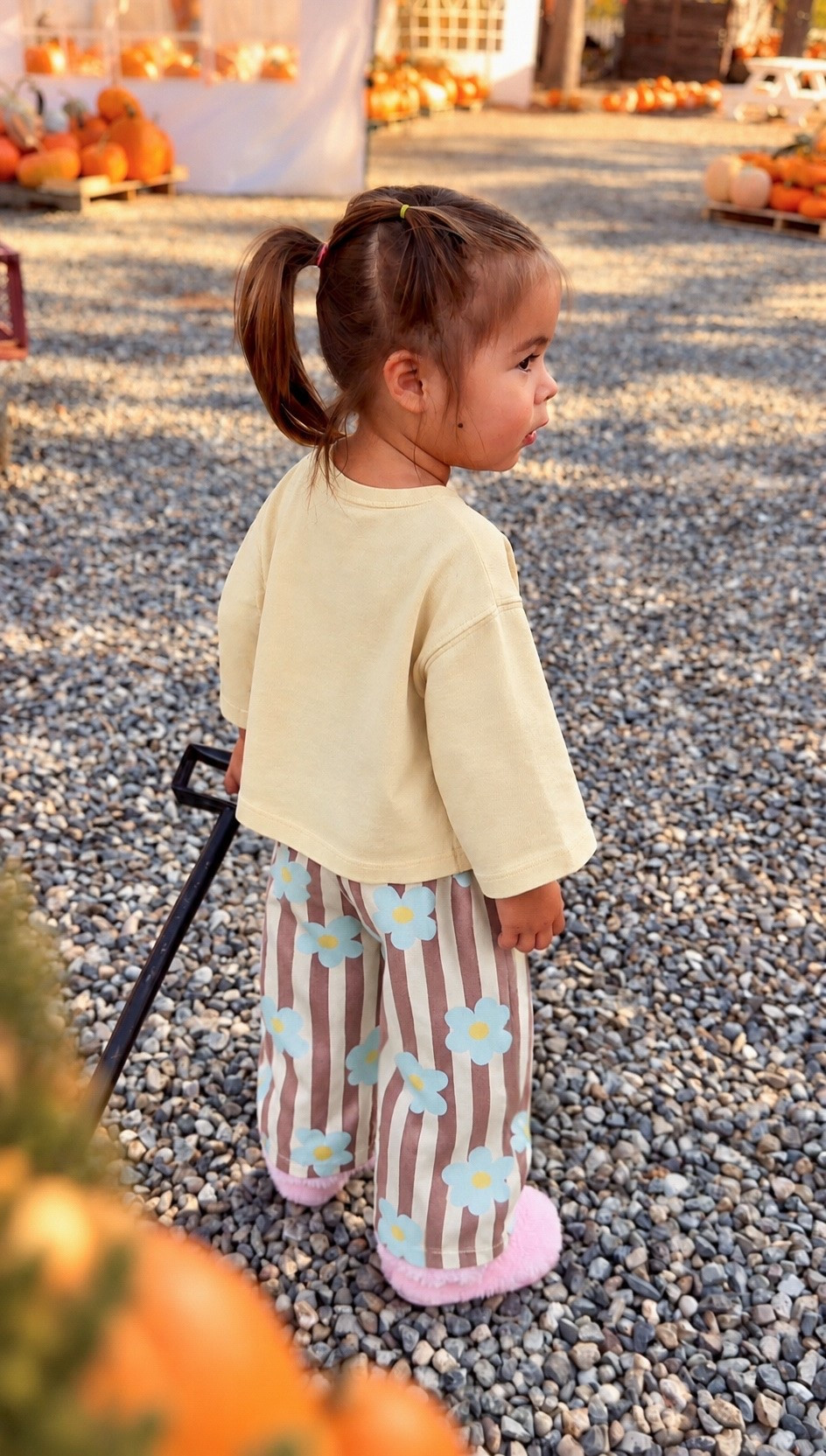 Toddler girl outfit
Toddler girl jeans
Toddler crocs
Fall outfit