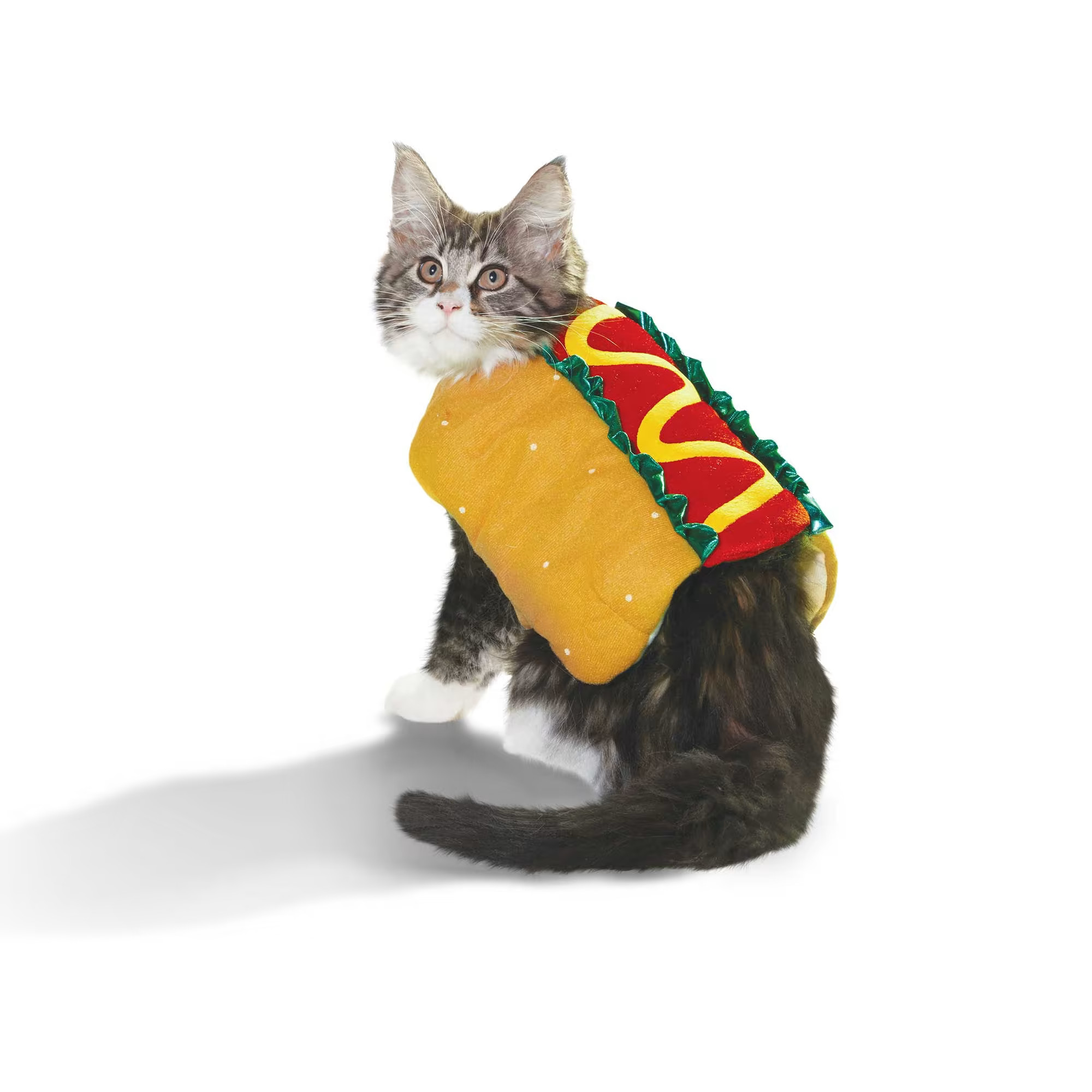 Bootique Dog & Cat Hotdog Costume, XX-Small | Petco