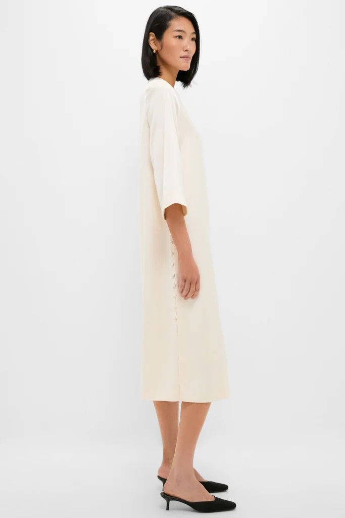 Winter White Side Button Jamie Dress | Tuckernuck (US)
