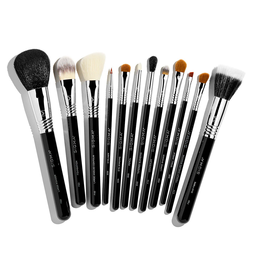 Sigma Beauty essential brush set