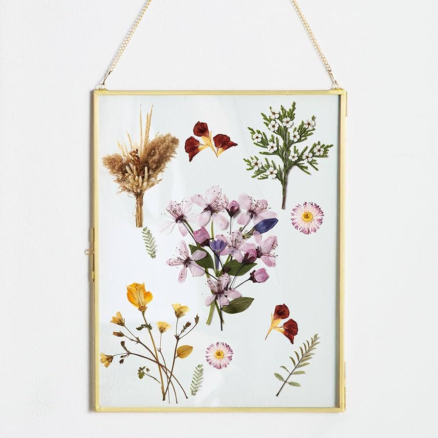 Kendiis Glass Hanging Picture Frame,11x14 Gold Double Frame for Pressed Flowers, Clear DIY Vintag... | Amazon (US)