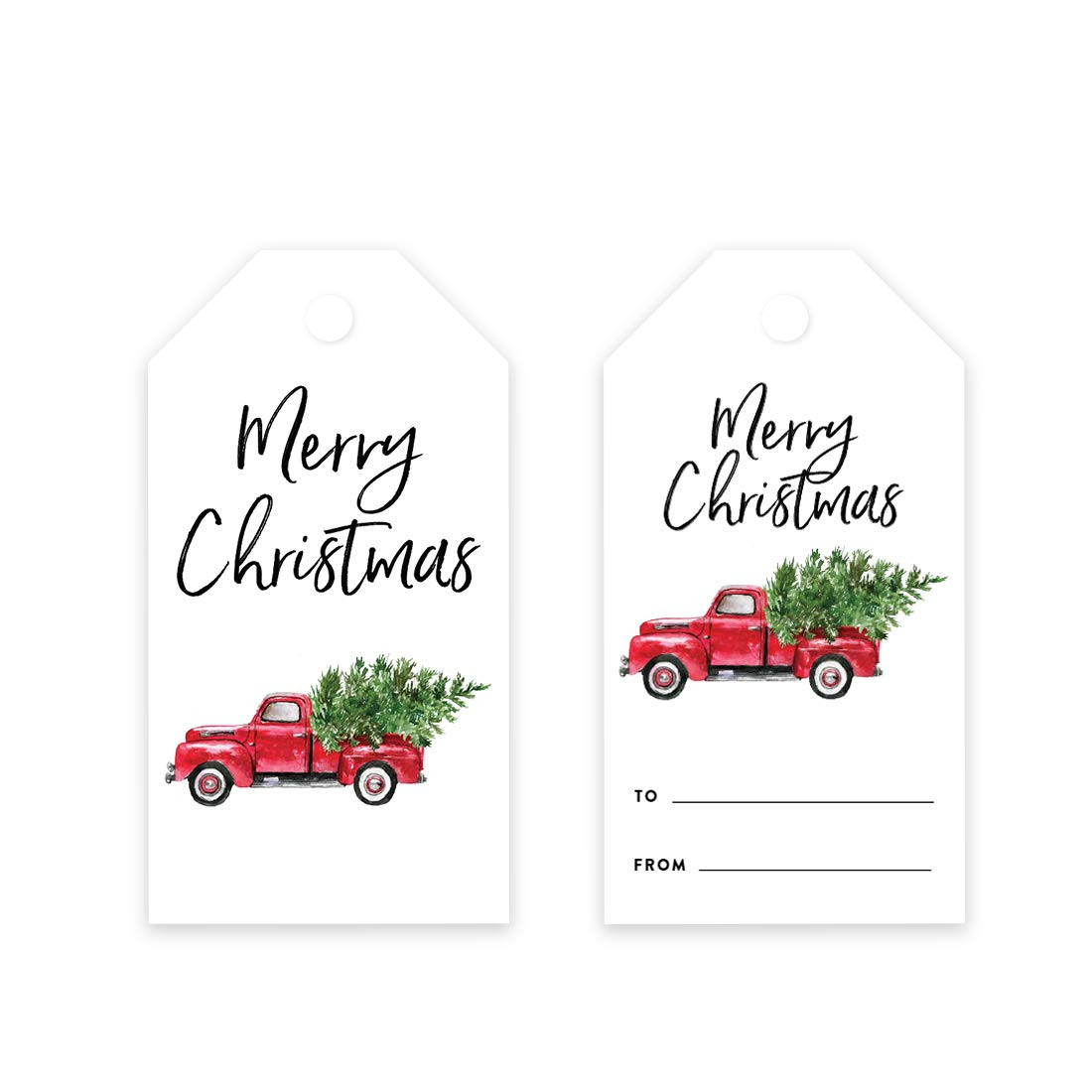 $13.99                            $13.99 | Amazon (US)