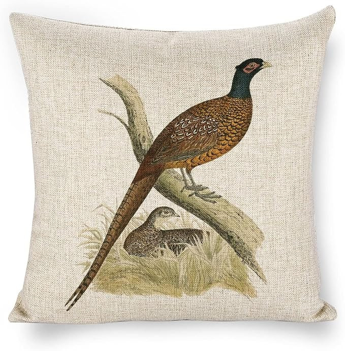 Pheasants Linen Throw Pillow Covers Farmhouse 18x18 Double Sided with Zipper Decorative Pillows f... | Amazon (US)