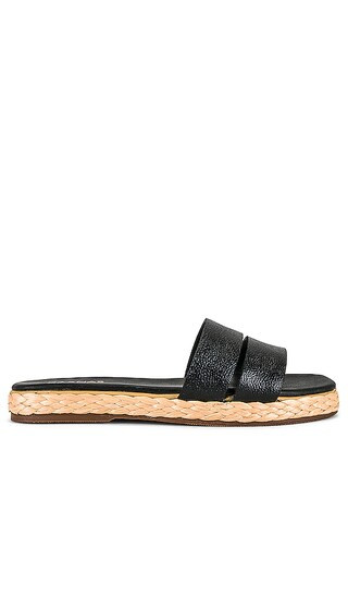 Dantita Sandal in Black | Revolve Clothing (Global)