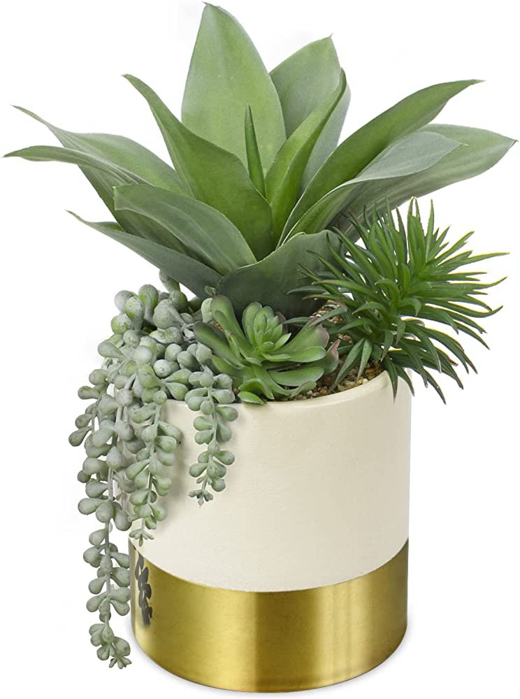 Large Artificial Succulents Plants Faux Succulents 12" Fake Succulent Plants in Gold Ceramic Pot ... | Amazon (US)