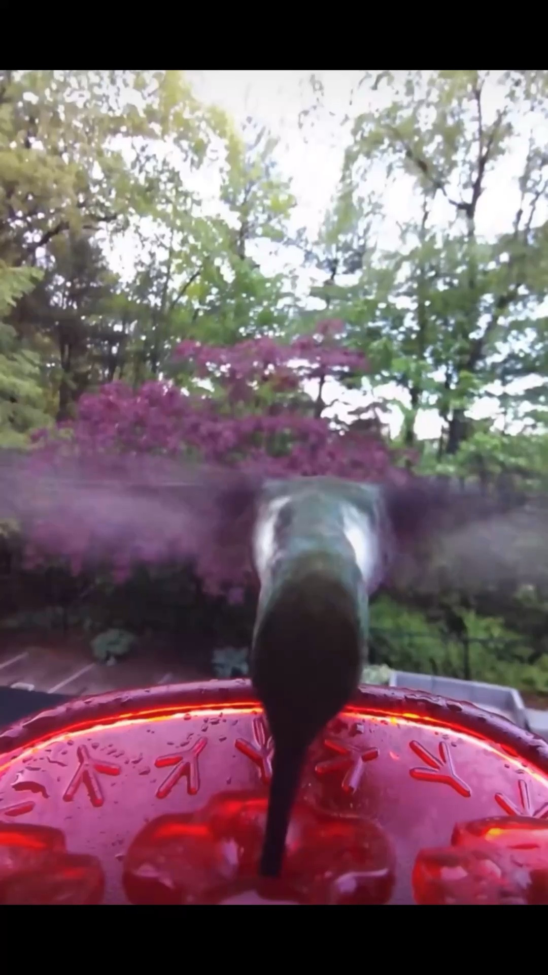 It’s almost that time of year again!

#LTKHome #LTKdayinmylife