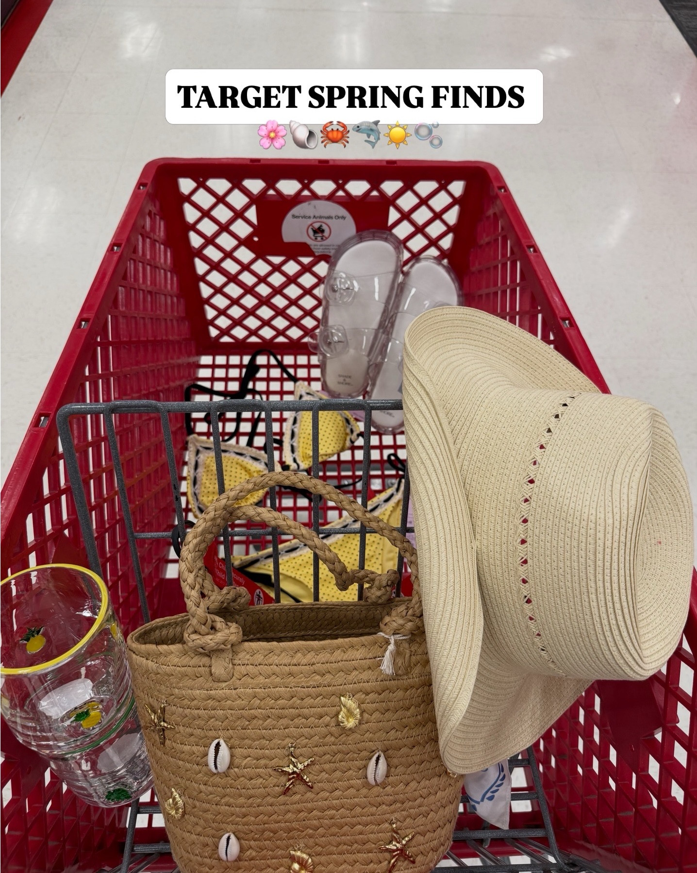 Target Spring Finds 🦀🐚🤭🫧

#LTKootd #LTKSeasonal