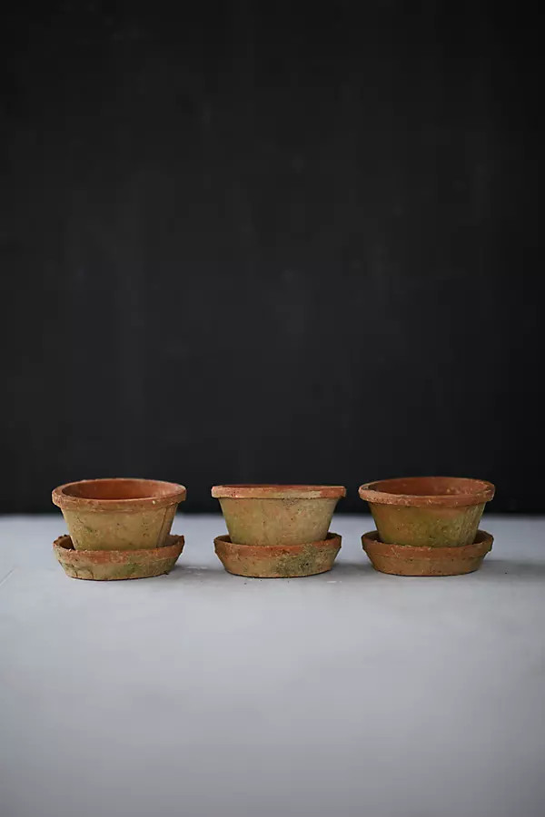 Earth Fired Clay Thin Rim Pot + Saucer, Set of 3 | Anthropologie (US)