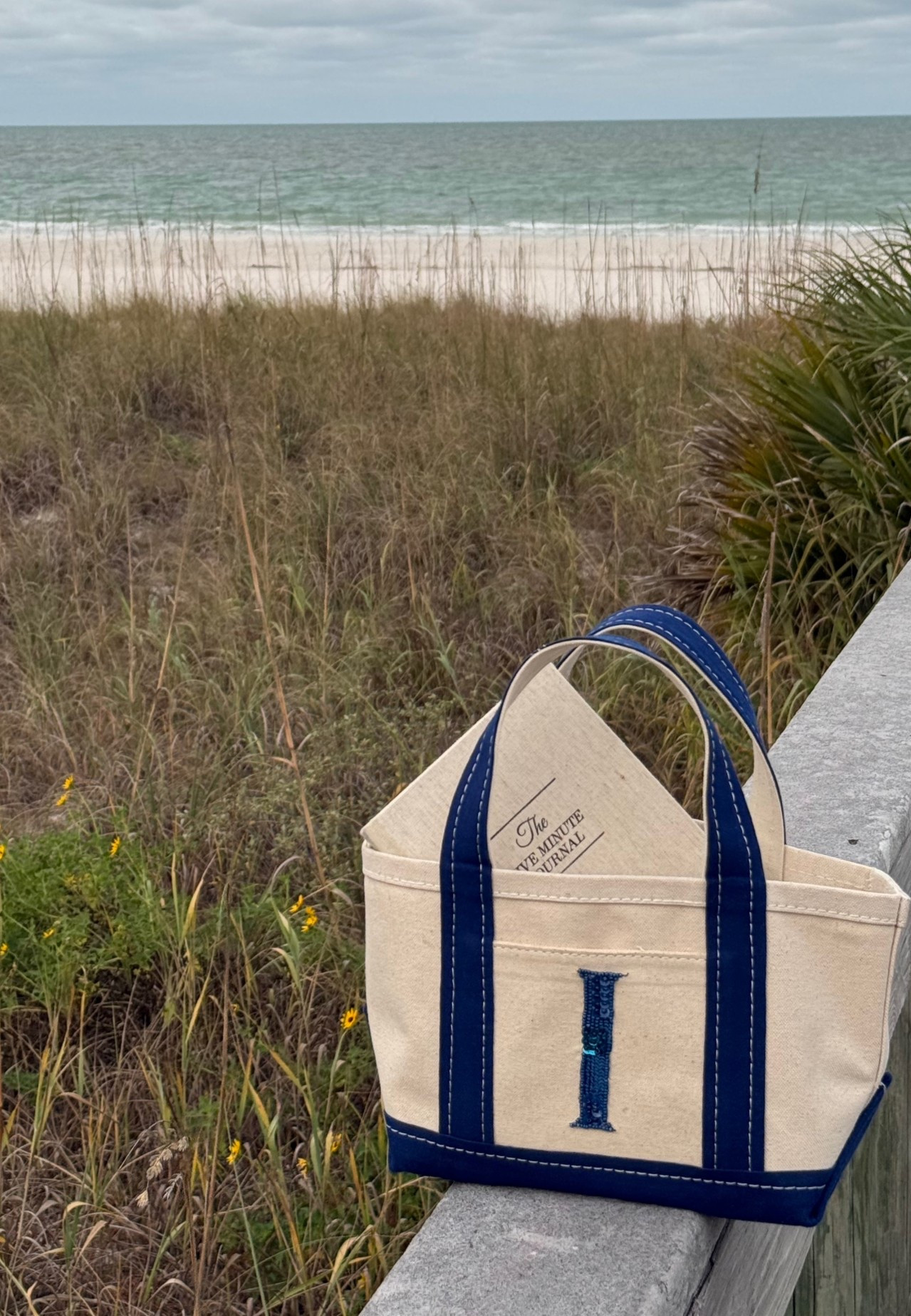 everyday mini tote bag! so cute I’m obsessed

#LTKFindsUnder100 #LTKmorningroutine #LTKselfcare