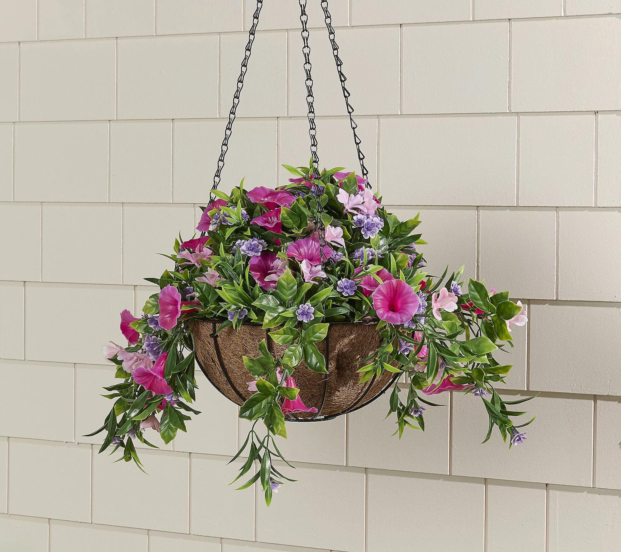Wicker Park 18"" Cascading Petunia & Wildflower Hanging Basket | QVC