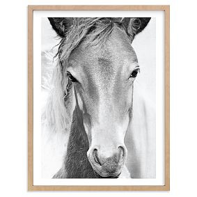 Minted® Wild and Free Framed Art | Pottery Barn Teen