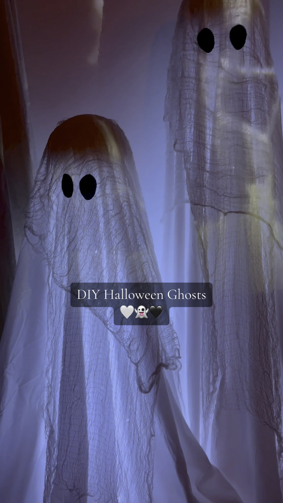 DIY Halloween ghosts👻

#LTKVideo #LTKSeasonal #LTKparties