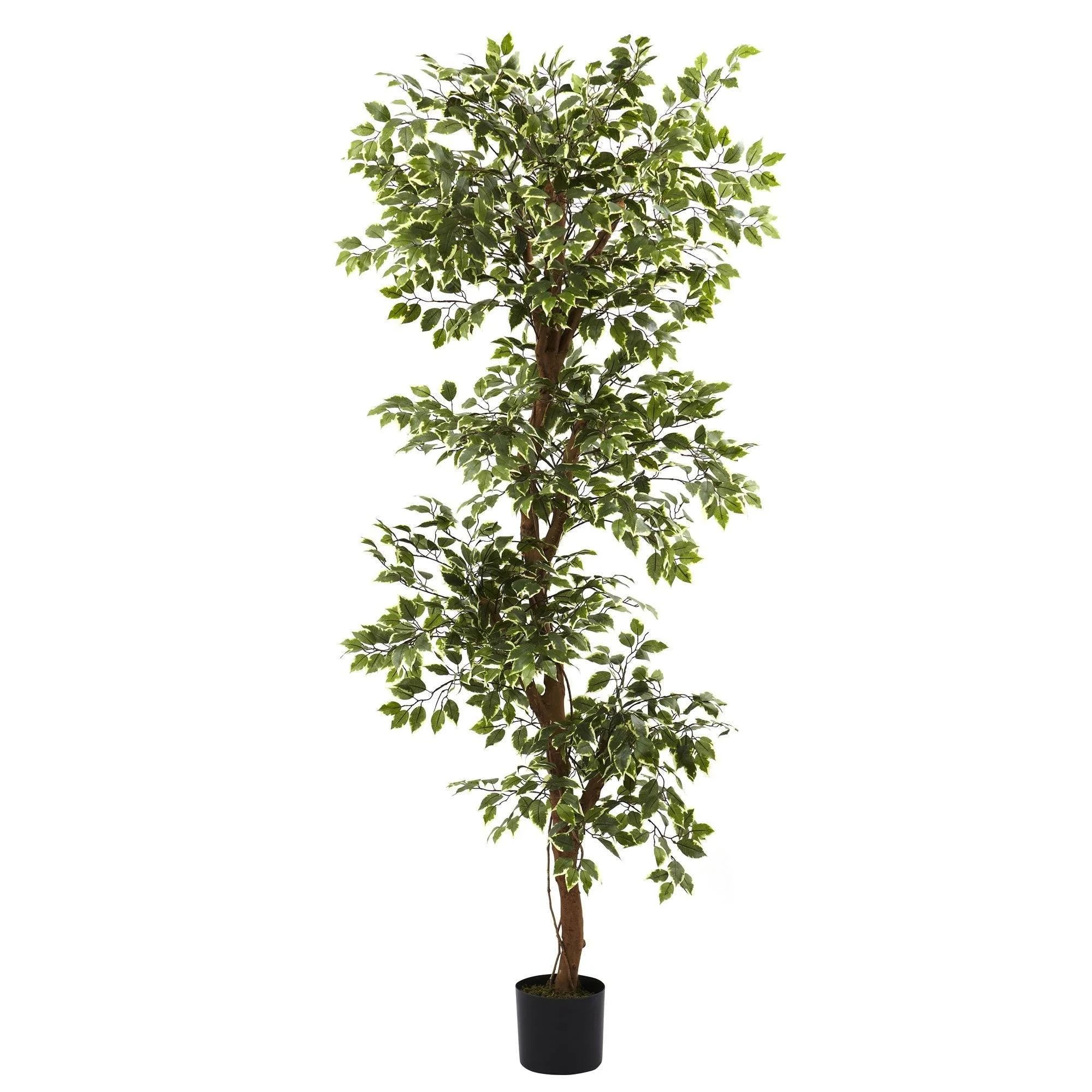 6’ Variegated Ficus Tree | Nearly Natural | Nearly Natural