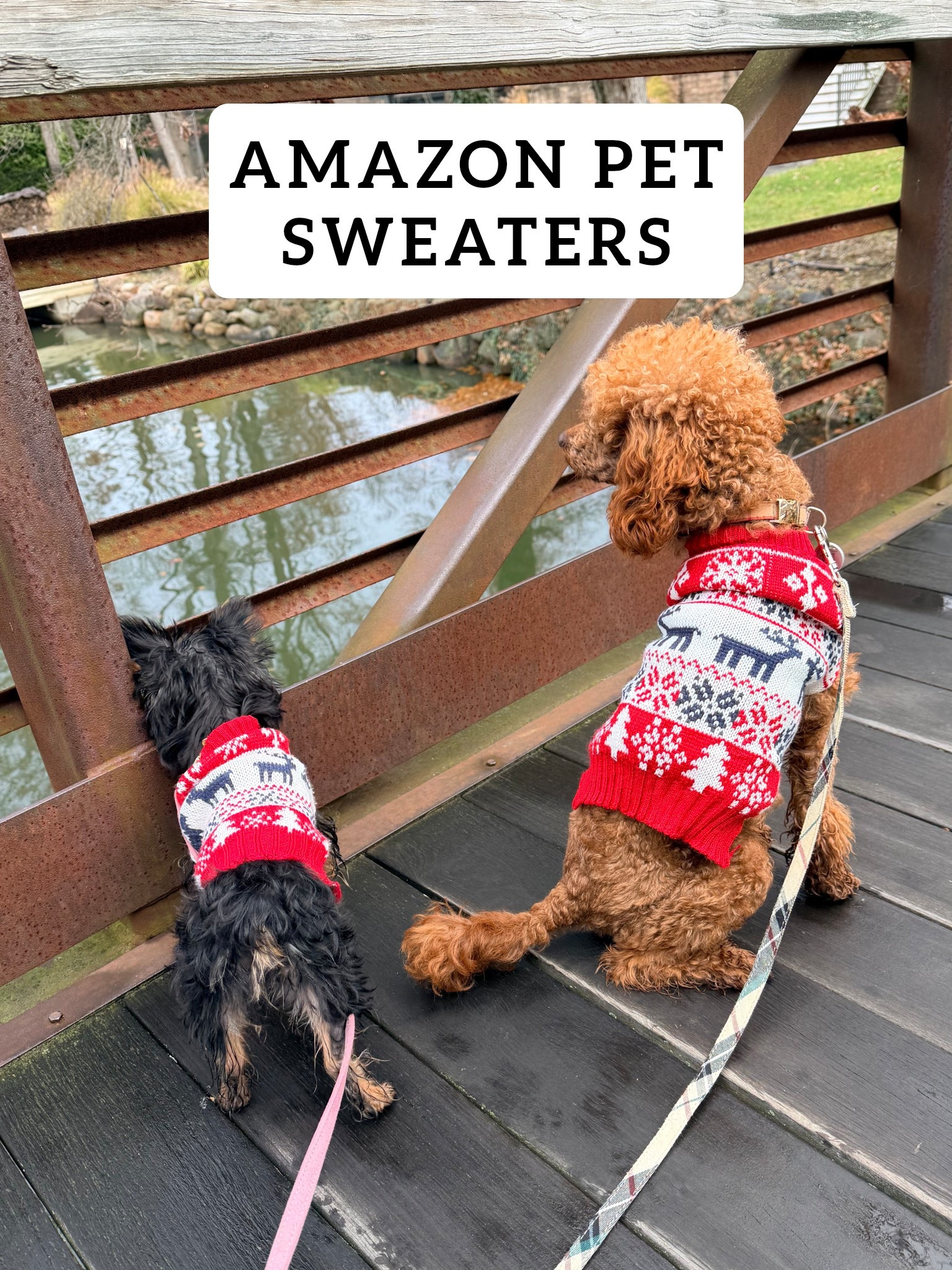 Shop my favorite pet sweaters below ☺️

#petaccessories #dogmom 