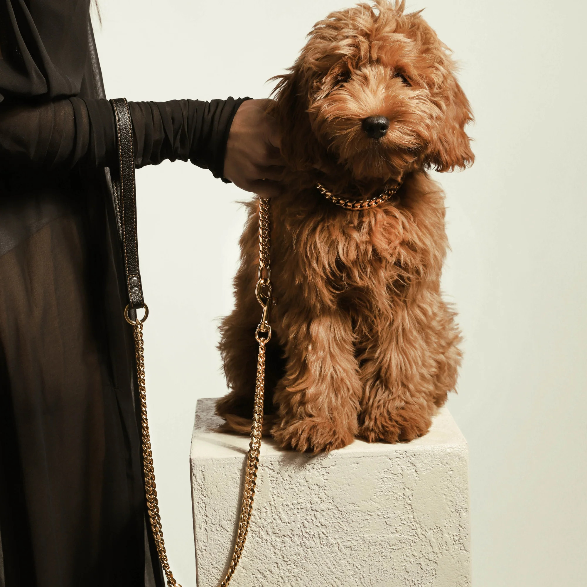 STYLEASH DOG COLLAR & LEASH | Artizan Joyeria