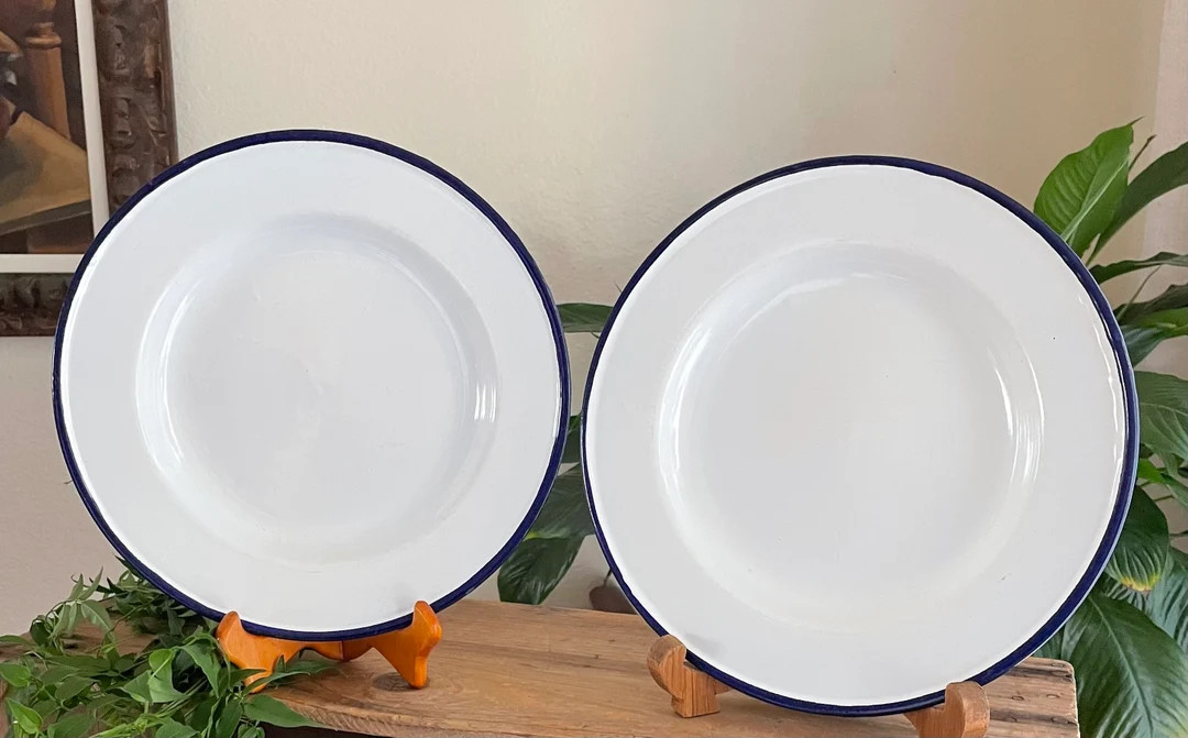 Pair of White ENAMELWARE Plates With Navy Blue Trim. Made in Poland, 1970s - Etsy | Etsy (US)