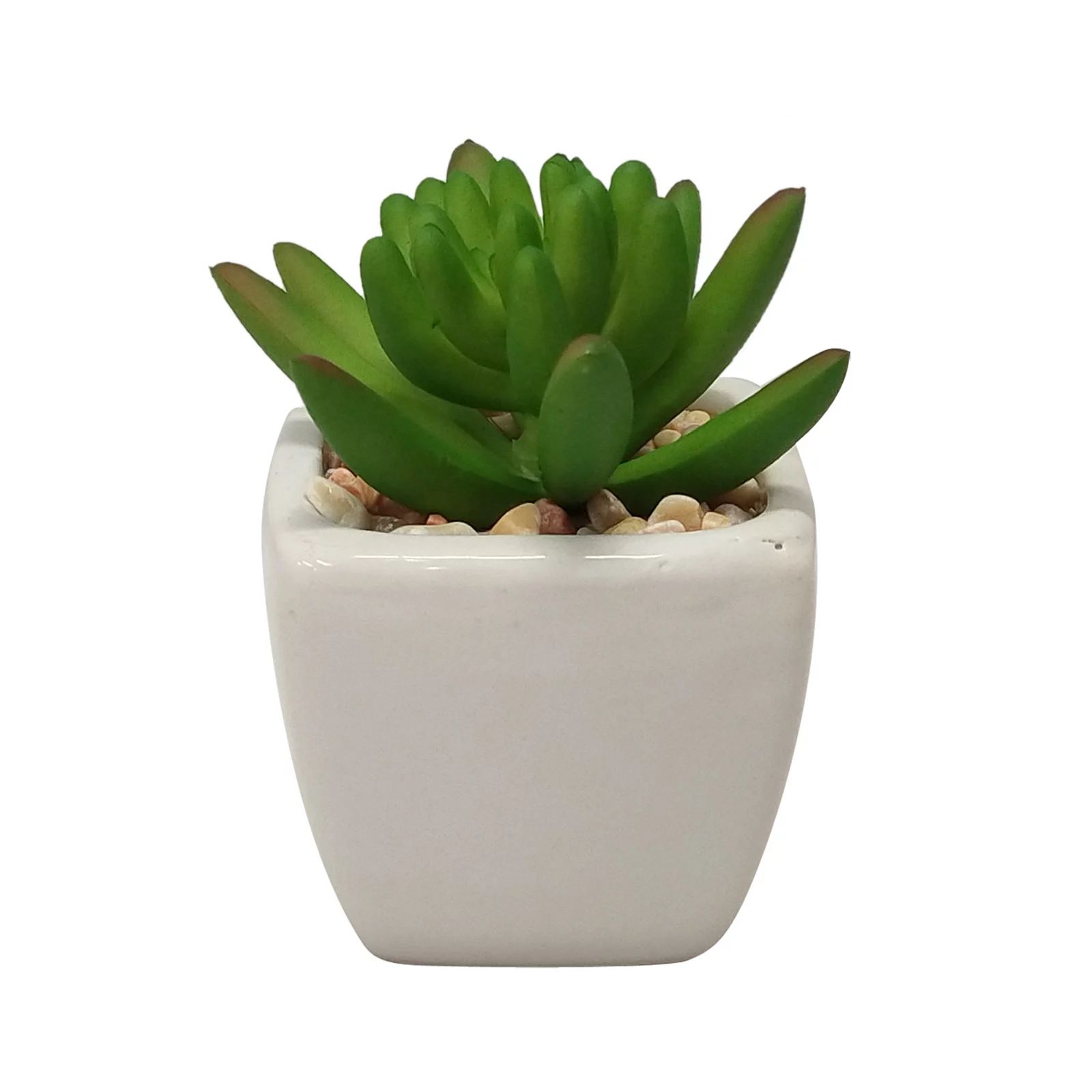 SONOMA Goods for Life Small Artificial Succulent Plant, White, BOTANICAL | Kohl's