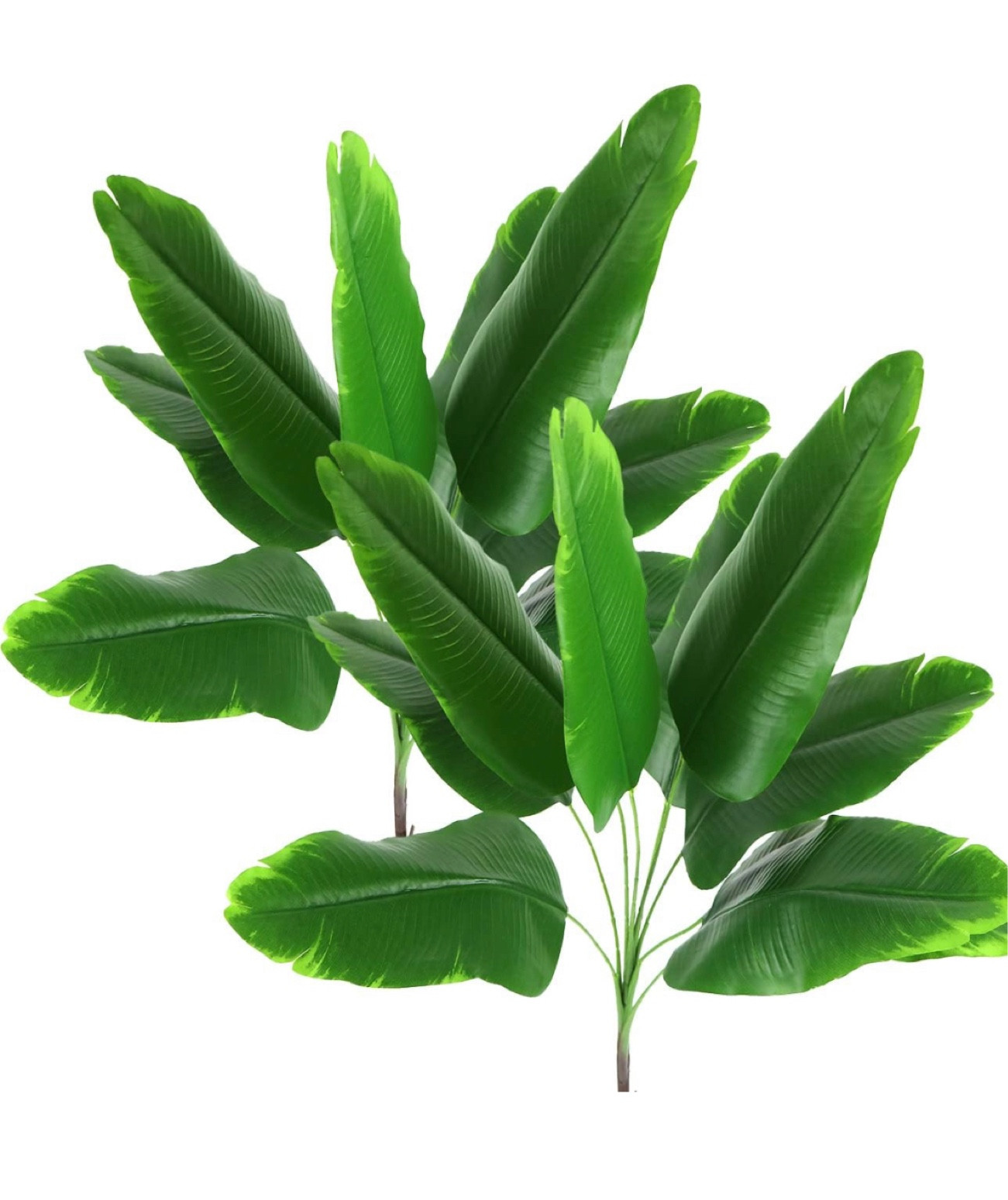 Satyanarayan Puja quintessential !! I found these faux banana leaves that are kardali look alike 