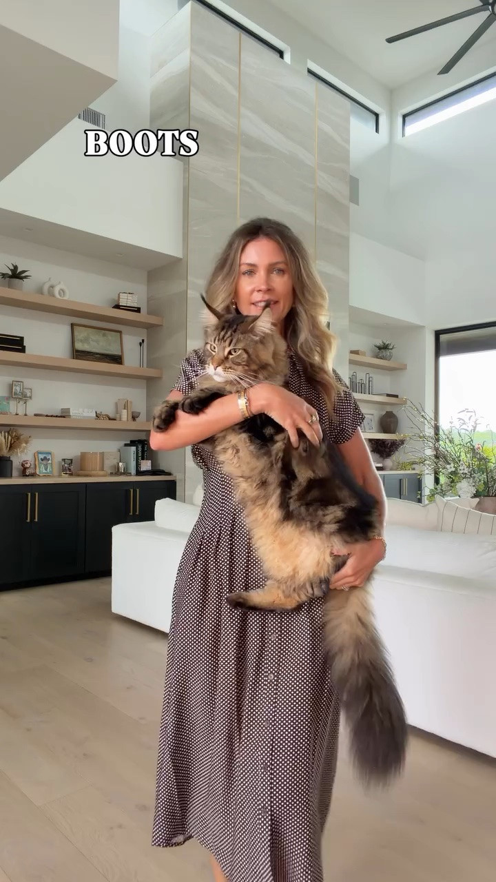 What’s better than one Maine Coon?! TWO Maine Coons 😻😻 baby kitty finally has a name!! Bojangles & Bootsy are the best of friends! #mainecoons #mainecooncat #mainecoonstagram #instamainecoon