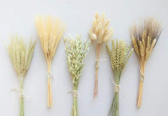 Dried Grass Bunches, Dried Flowers, Dried Flower Sampler Set, Flowers for Bud Vase, DIY Dried Flo... | Etsy (US)