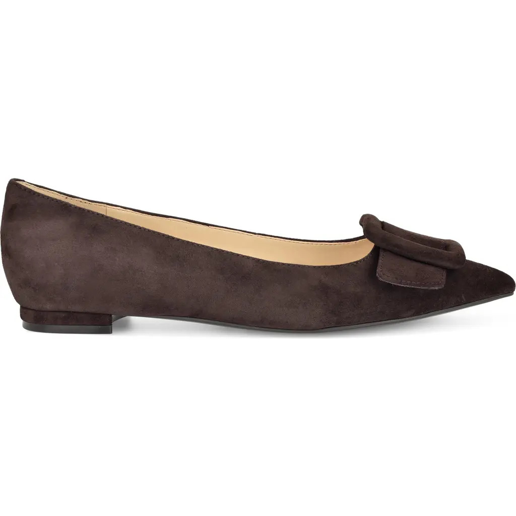Nine West Jesike Pointed Toe Flat in Dark Brown at Nordstrom, Size 7 | Nordstrom
