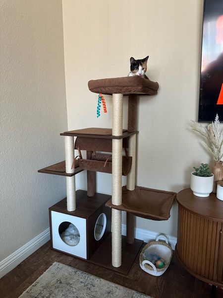 Cat tree on sale for 7% off on @wayfair 🐈 

#LTKfamily #LTKsalealert #LTKhome