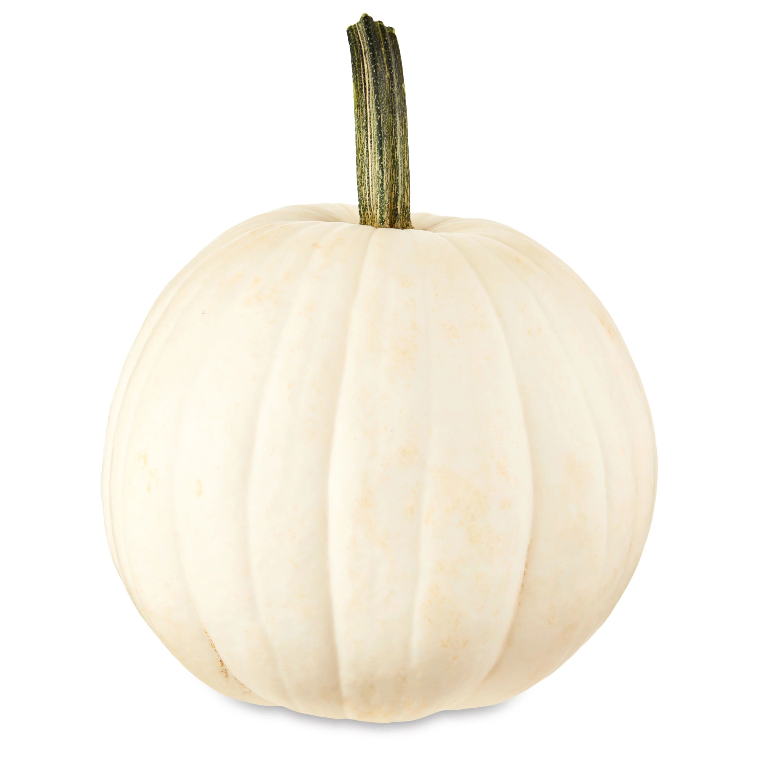 White Pumpkin, Each | Walmart (US)