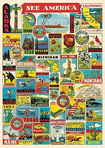 Cavallini & Co. See America Decorative Paper Sheet 20X28 | Amazon (US)