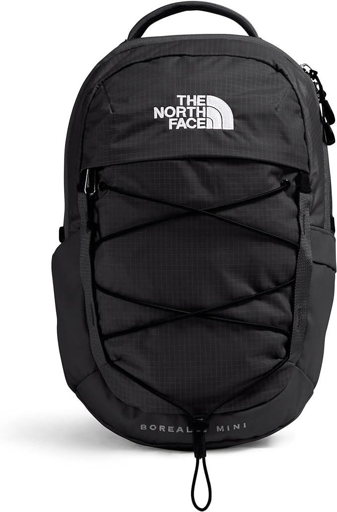 The North Face Borealis Mini Backpack, TNF Black/TNF Black-NPF, One Size | Amazon (US)
