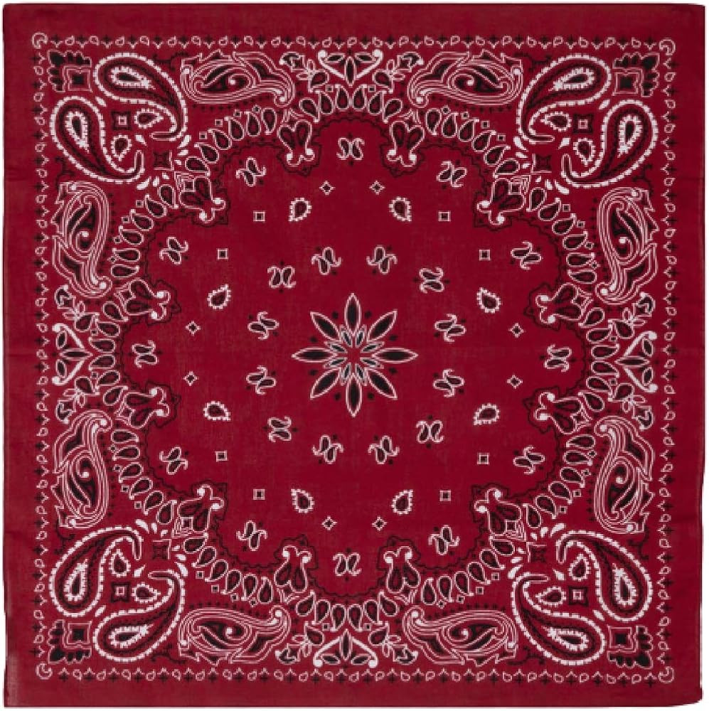 Bandanna Classic Paisley Print Burgundy Red ~ Wearable Art 100% Cotton - Scarf Bandana | Amazon (US)