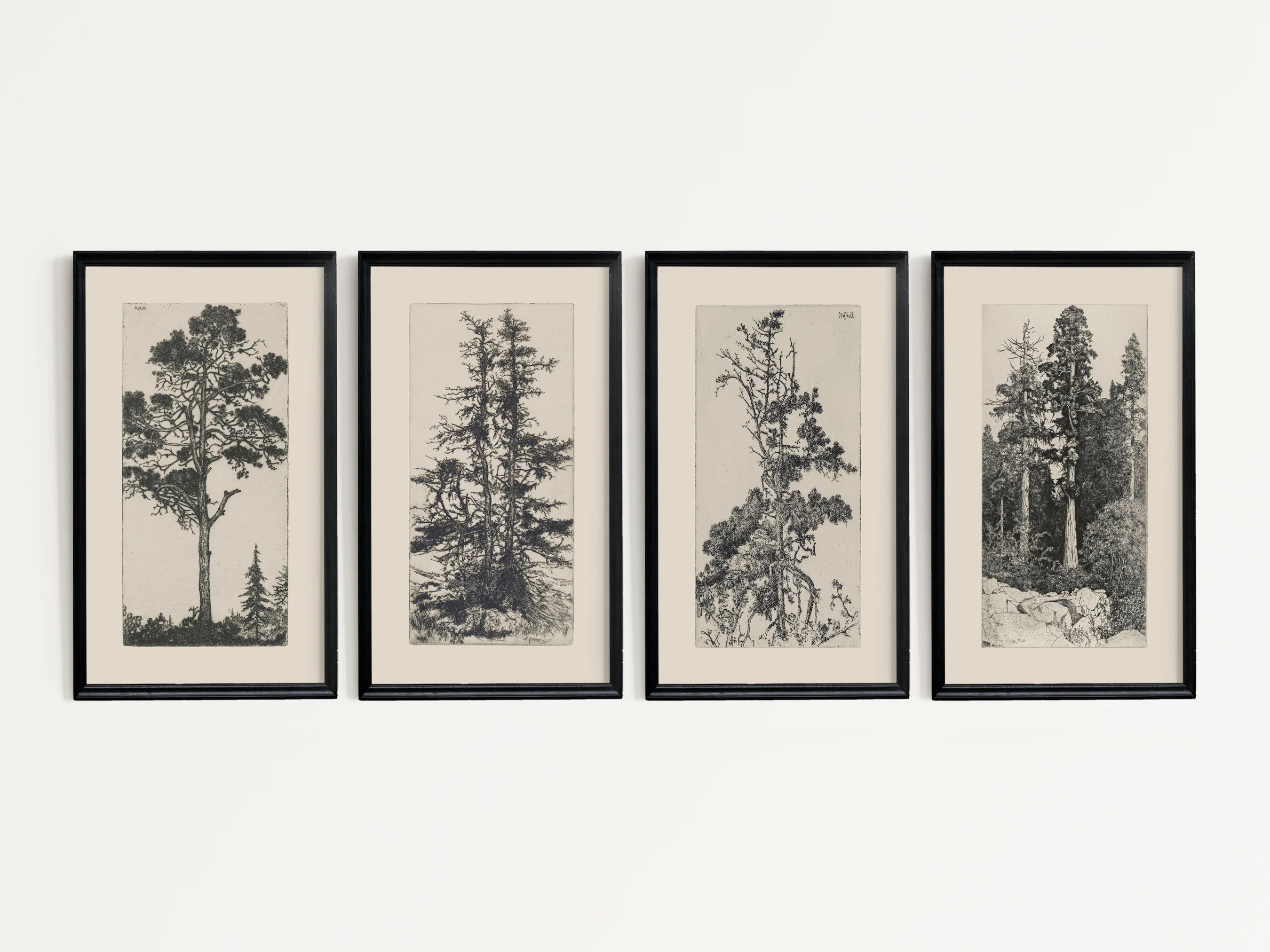 Tree Set | Heirloom Print Shop