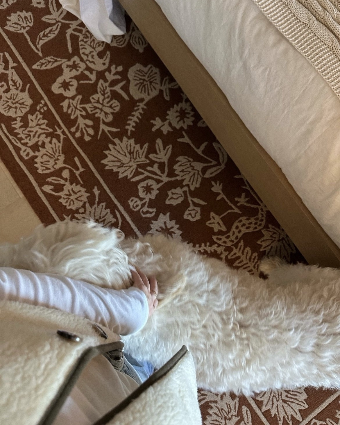 Favorite rugs of 2025 🔥

#LTKHome