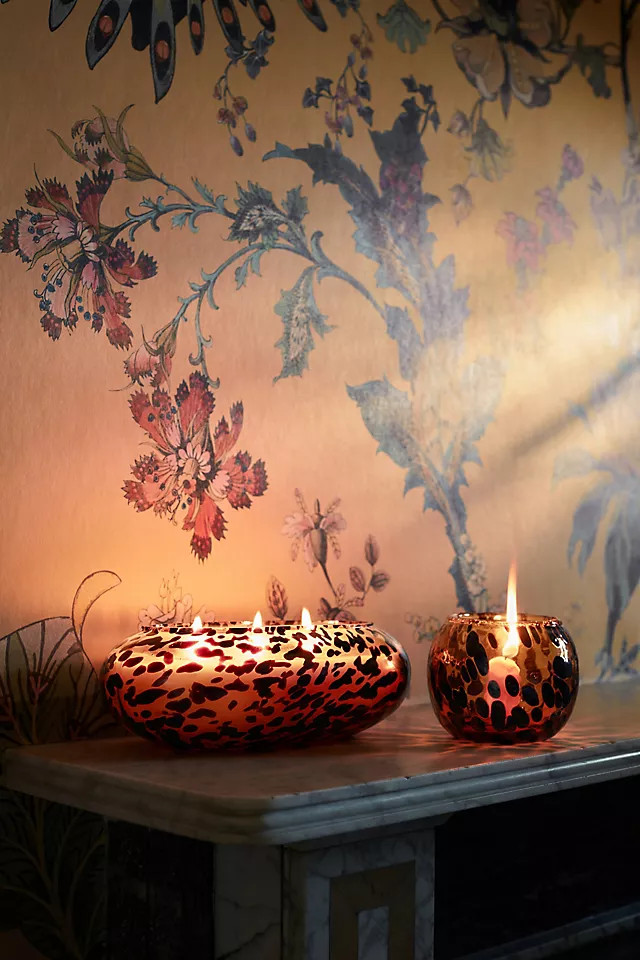 House of Hackney Glass Tortoise Candle | Anthropologie (US)