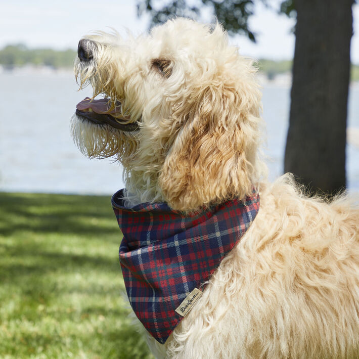 Plaid Pet Bandana | Dearfoams