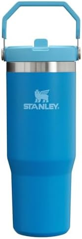 Stanley IceFlow Stainless Steel Tumbler - Vacuum Insulated Water Bottle for Home, Office or Car R... | Amazon (US)