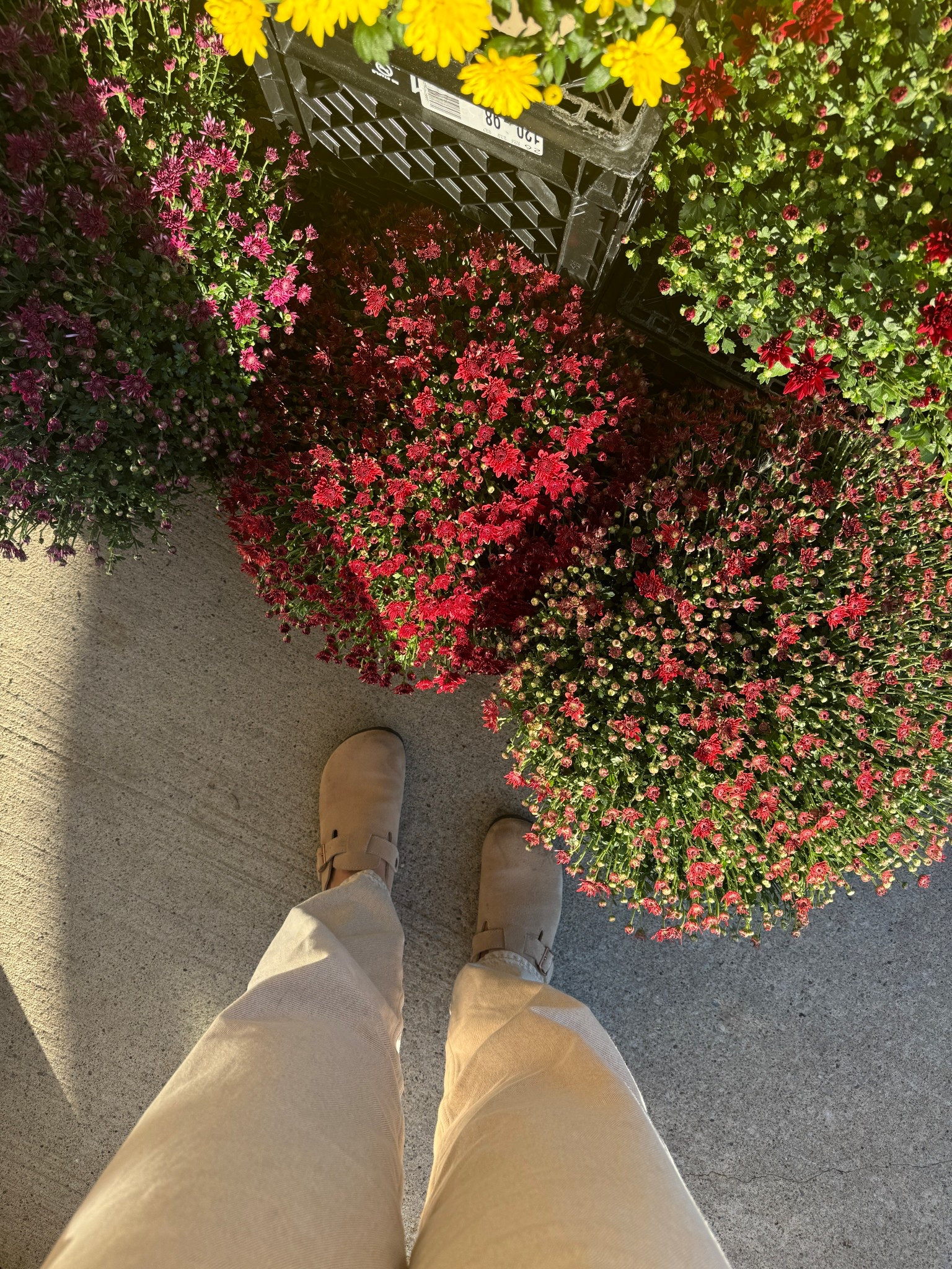 fall porch season 🍂 I’ve been living in these birk dupes that are currently on sale!! 

#LTKstyletip #LTKsapatos