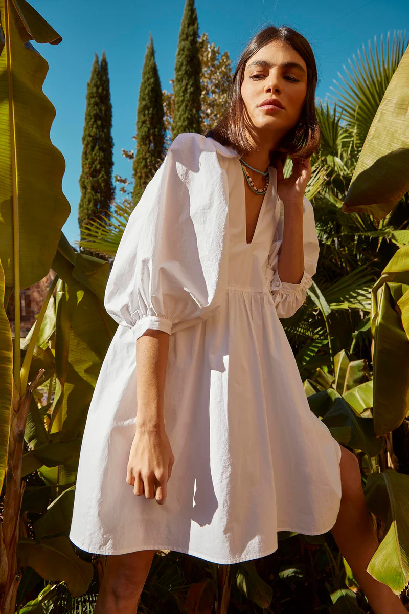 Noah Dress | Collared Shift Dress | Hunter Bell | Hunter Bell