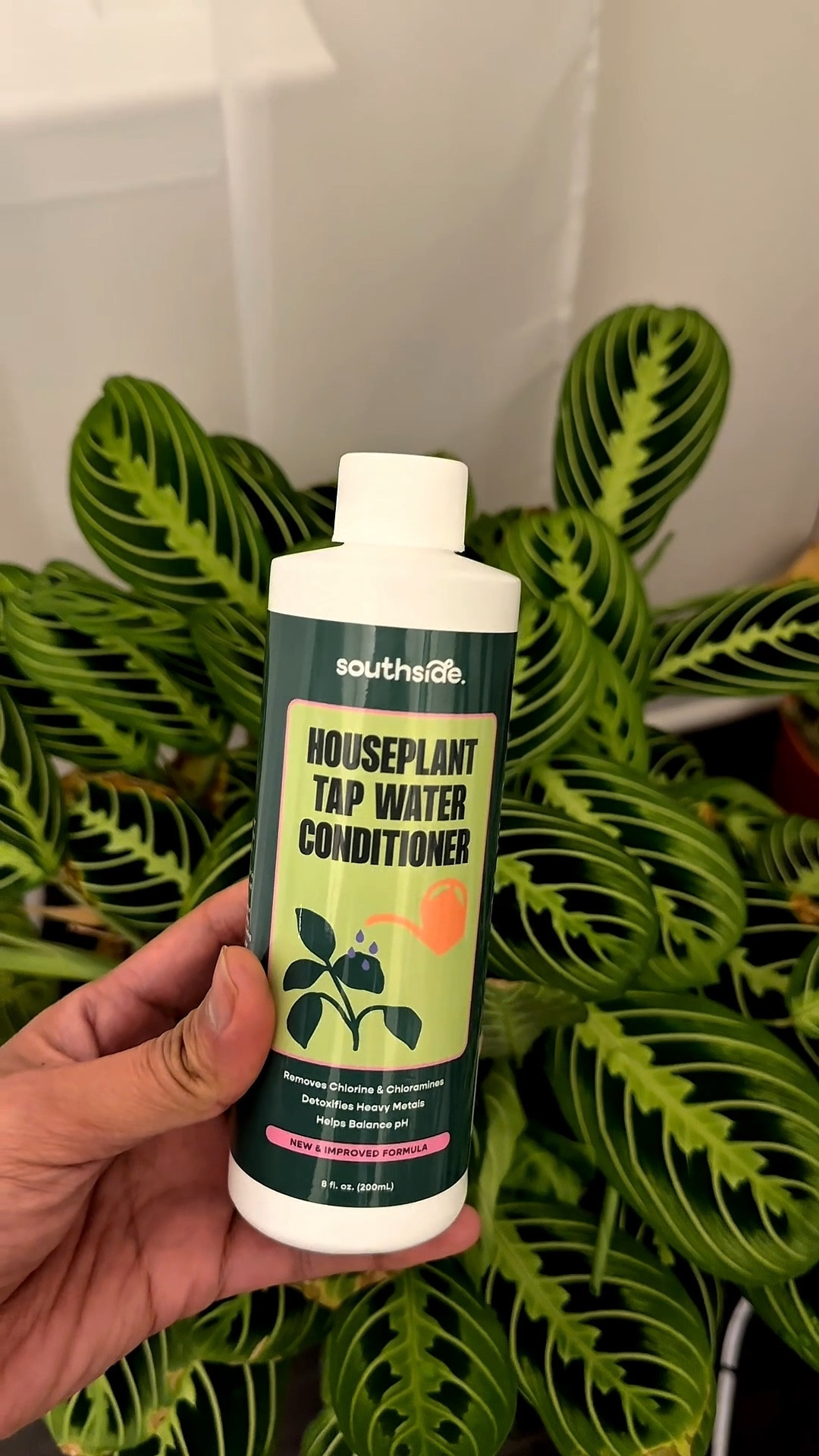 This saved my Maranta 

#LTKSaleAlert #LTKHome