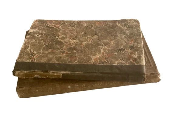 Decorative Pair of 19th C Hardcover Books | Etsy | Etsy (US)