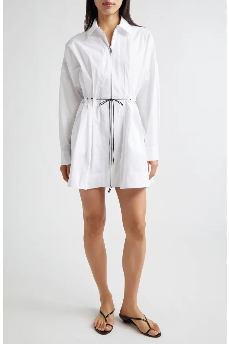 Chi Long Sleeve Mini Shirtdress (Women) | Nordstrom | Nordstrom