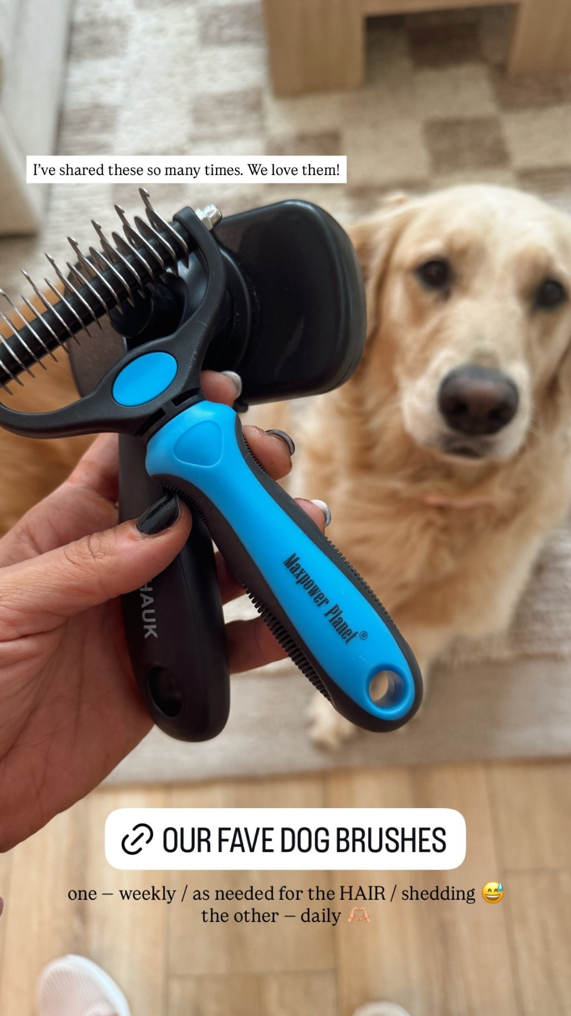 Our two fave dog brushes 🦮🐾 I’ve shared these so many times. We love them!

• one — weekly / as needed for the HAIR / shedding 😅
• the other — daily 🫶🏼

Pet / dog mom / golden retrievers / Amazon must haves / Holley Gabrielle 

#LTKPets #LTKFindsUnder50 #LTKActive