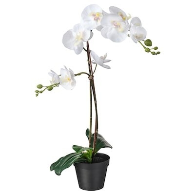 FEJKA Artificial potted plant - Orchid white - IKEA | IKEA (DE)