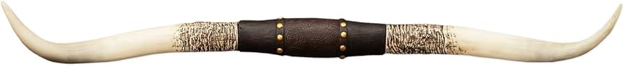 Hobby Lobby Longhorn Wall Decor, Resin, Distressed Horns, Leather Strap Design, Floral Embossing,... | Amazon (US)
