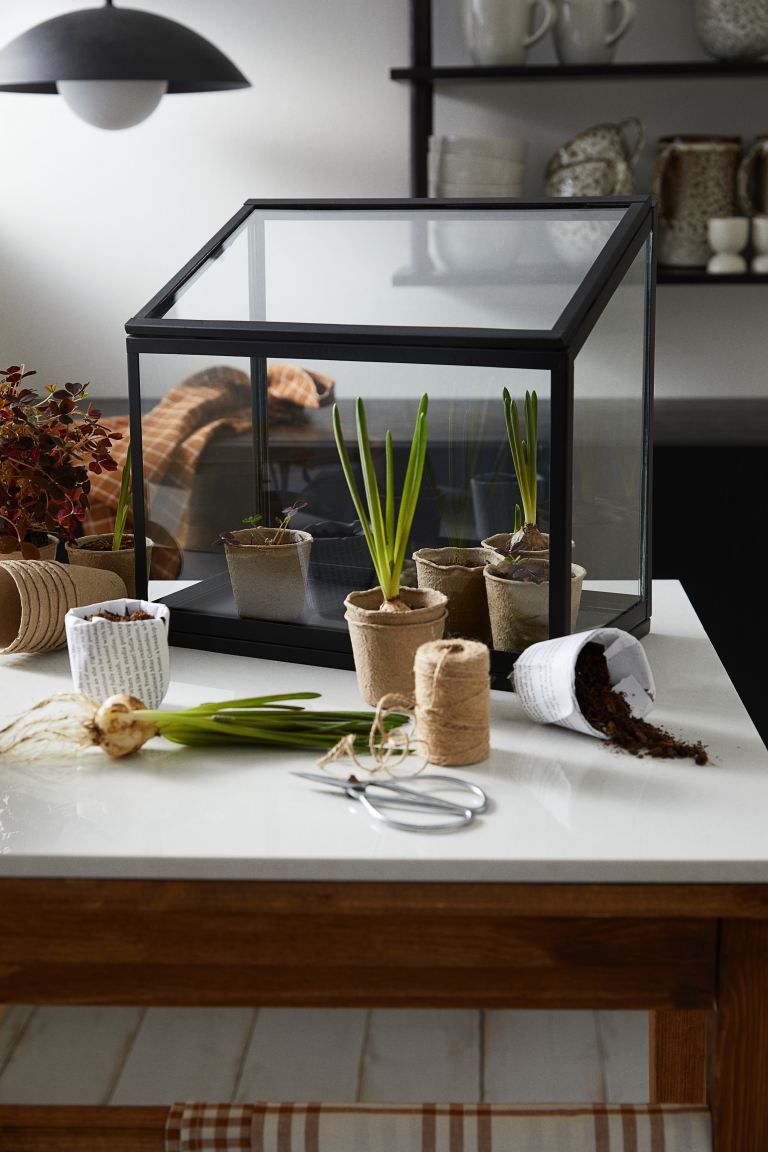 Small Greenhouse | H&M (US)