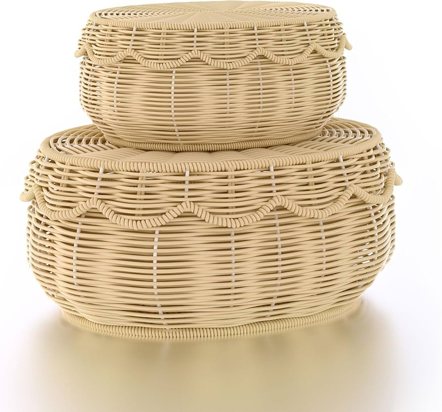 Wicker Storage Basket with lid Hand Woven Rattan Basket Small Scalloped Basket Set of 2 Woven Bas... | Amazon (US)
