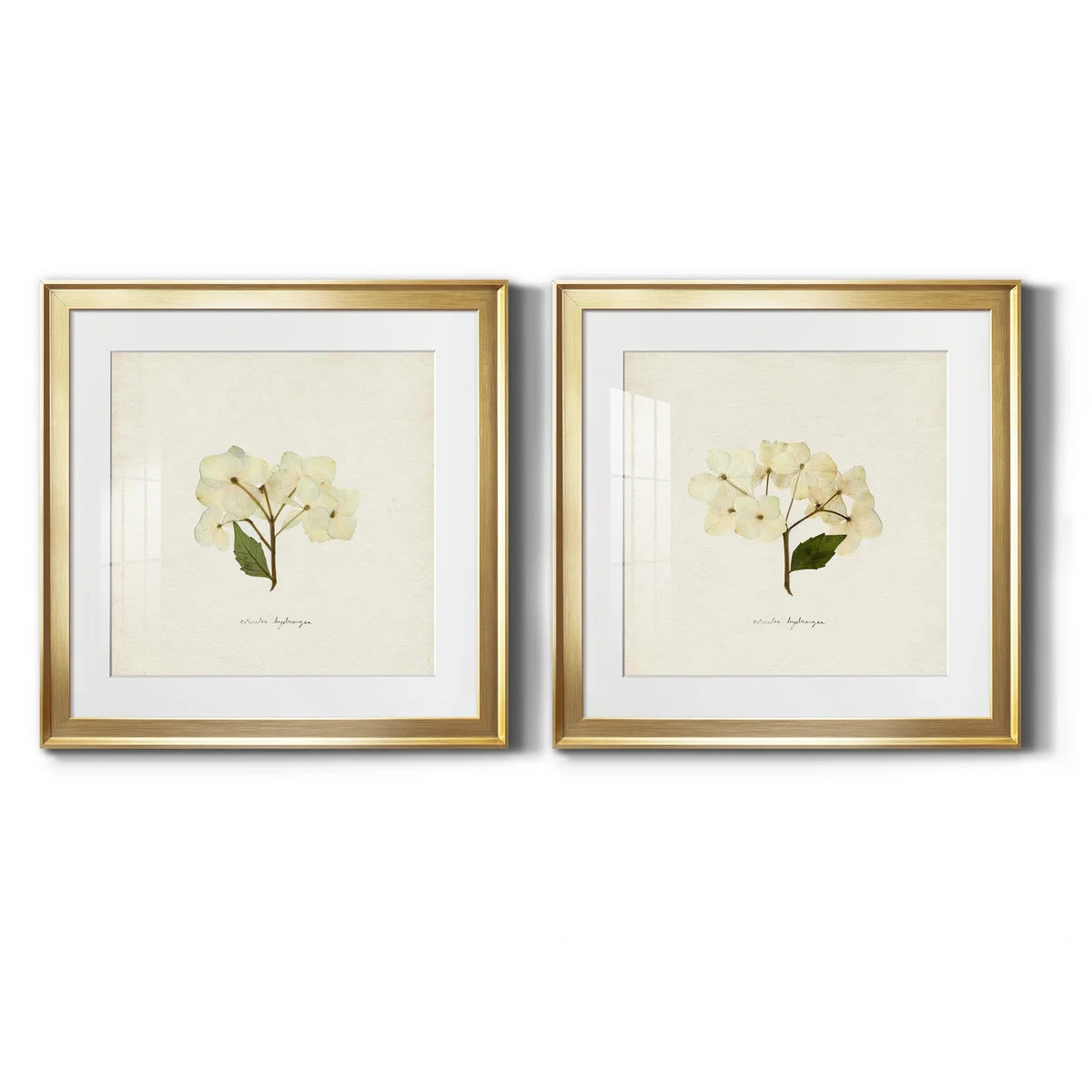 " Cornales Hydrangea I " 2 - Pieces | Wayfair North America