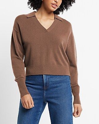 Ultra Soft Collared V-neck Sweater | Express